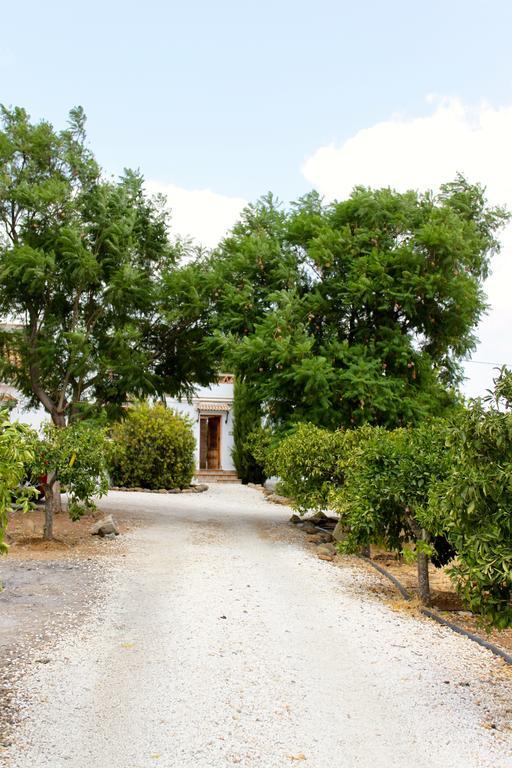 Casita Naranja Villa Alora Kamer foto